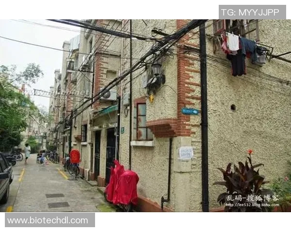 聚焦顶级球星与欧陆豪门足球俱乐部的辉煌历程与传奇故事 聚焦顶级球星与欧陆豪门足球俱乐部的辉煌历程与传奇故事