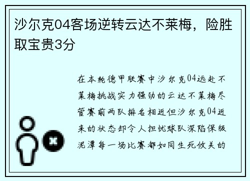 沙尔克04客场逆转云达不莱梅，险胜取宝贵3分