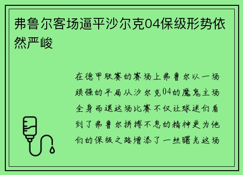 弗鲁尔客场逼平沙尔克04保级形势依然严峻